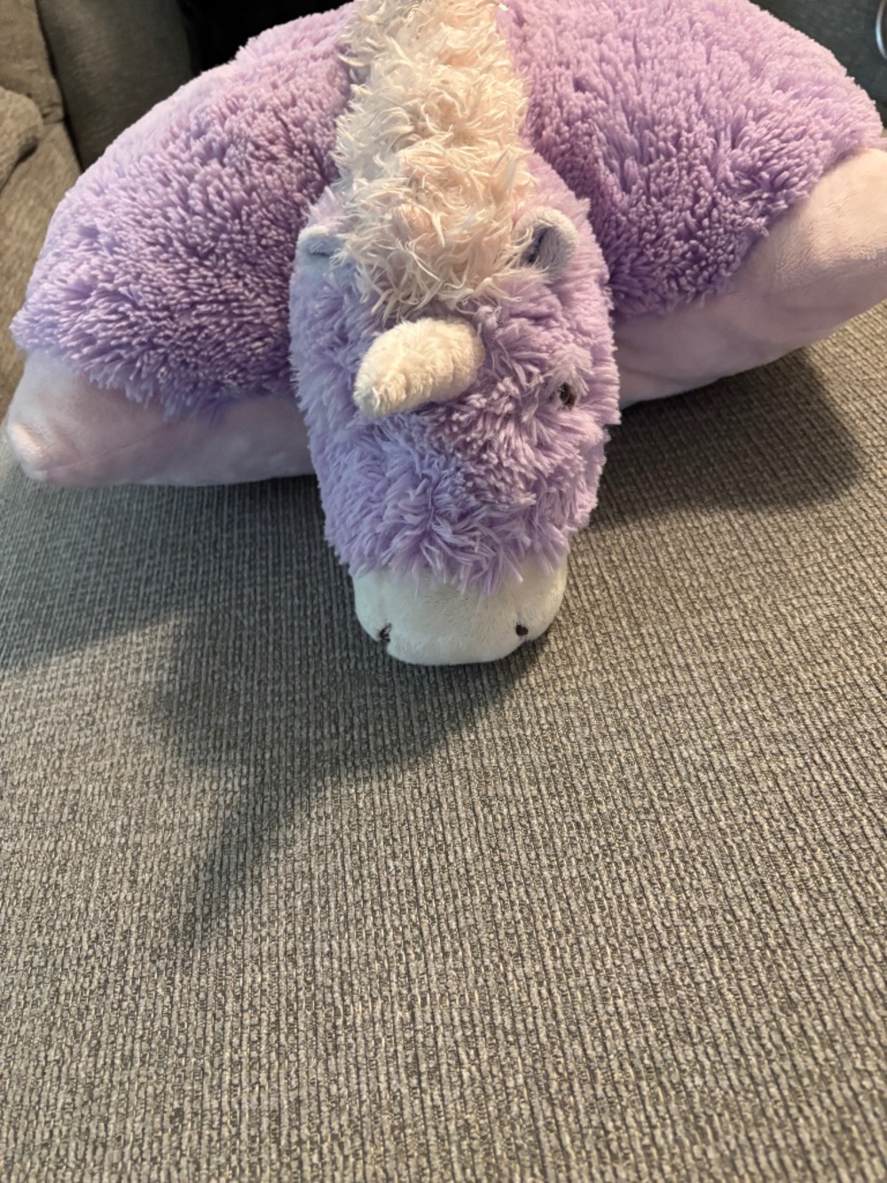 Pillow pet
